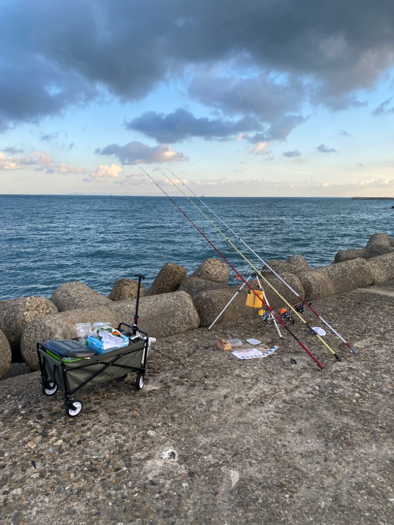 カレイ、落ちギス狙い