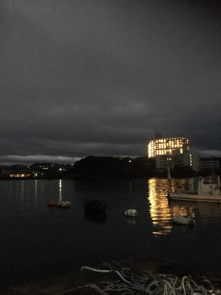 アオリイカ用のアジ釣り!