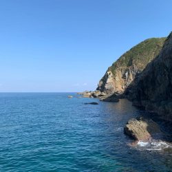 晩秋のグレは気難しい