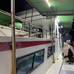 早朝ティップラン