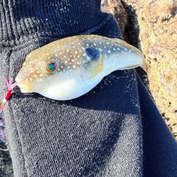 デイエギングっ⭐︎