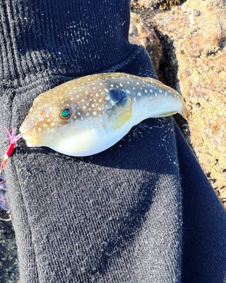 デイエギングっ⭐︎