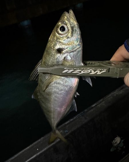 ボートアジング