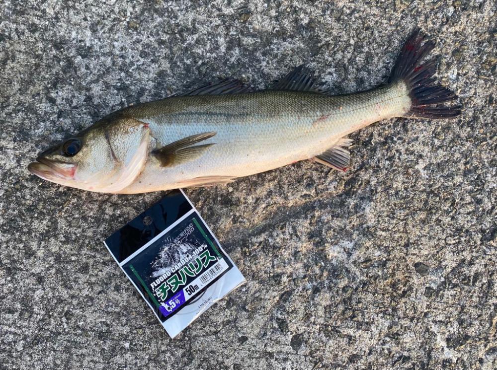 右手からの風が強く吹き