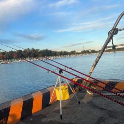 カレイ釣りPart2