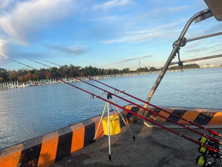 カレイ釣りPart2