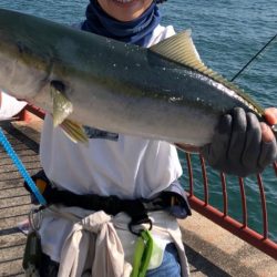 計画通りの鯵後メジロ。