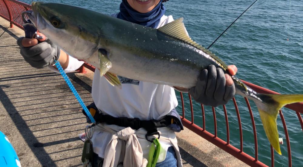 計画通りの鯵後メジロ。