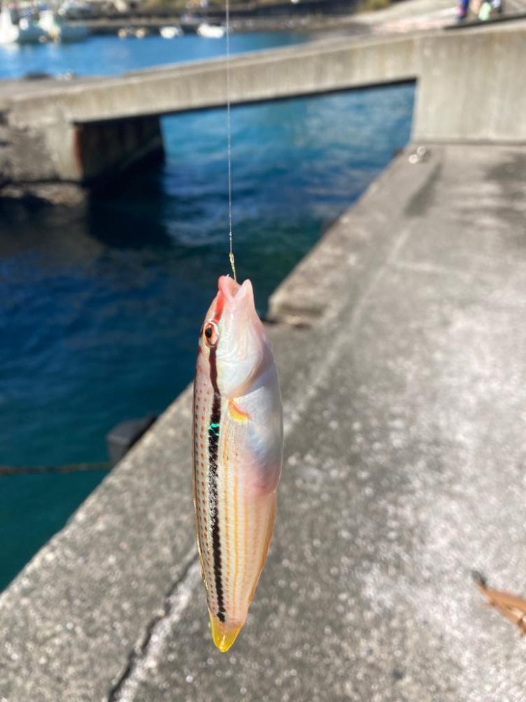 昼からのんびり