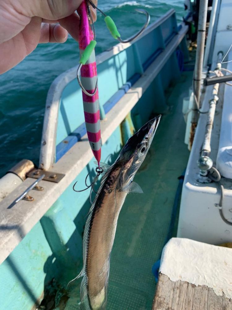 青物不発 後 タチウオ