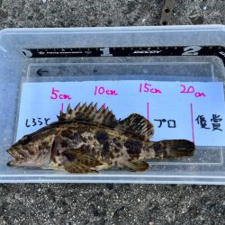 彼女が初めてのルアーフィッシング