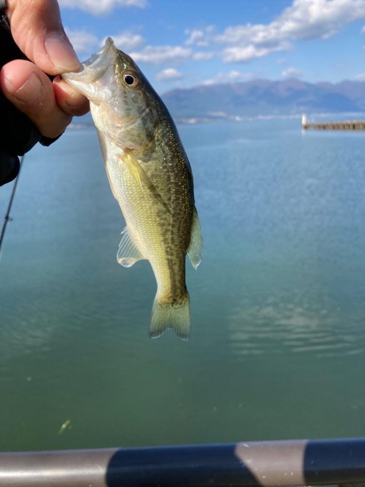 北湖も秋モード