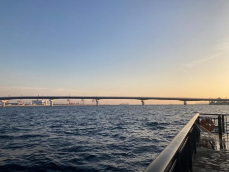 短い時合いでサゴシ君