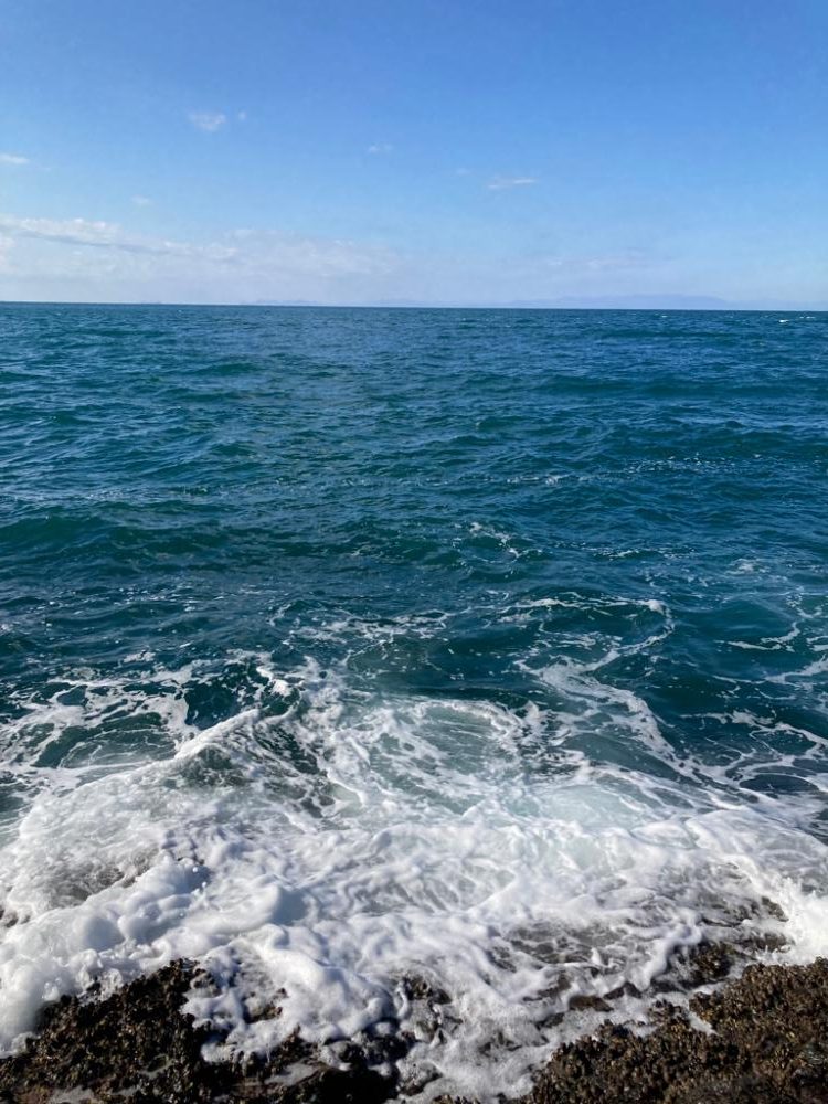 青物ってこんなに引くんだなぁ