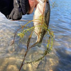 まだまだ釣れる２桁釣果
