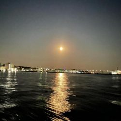 仕事の休憩時間に