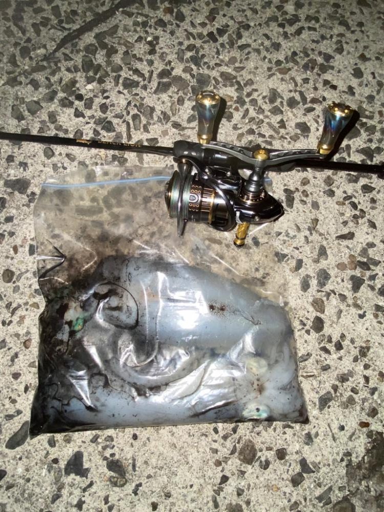 月明かりに照らされて🎶