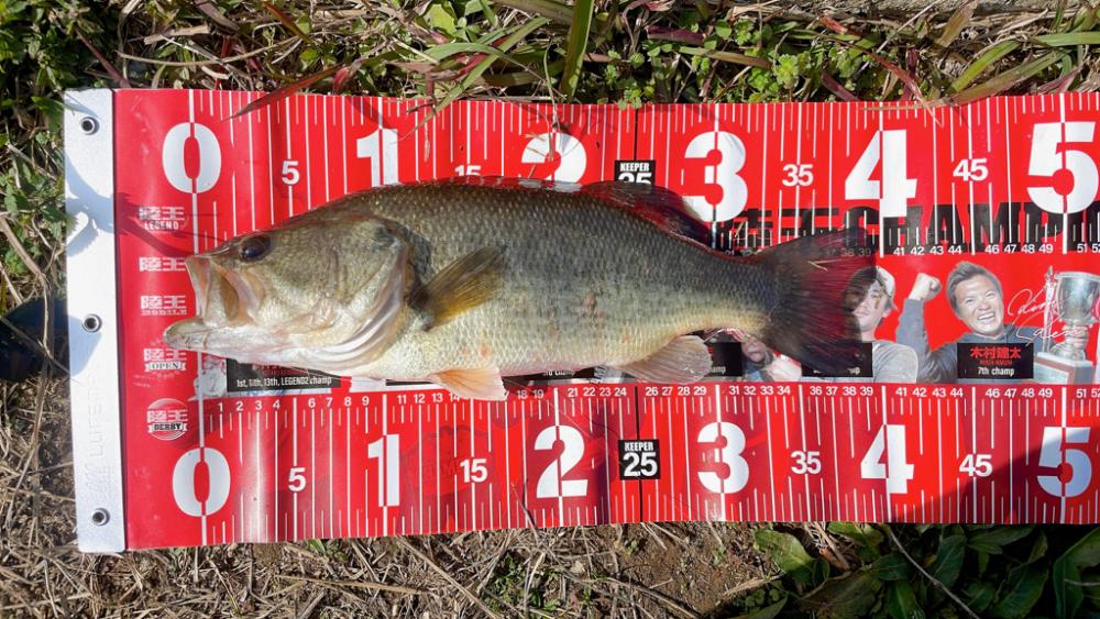 遠賀川でバスフィッシング