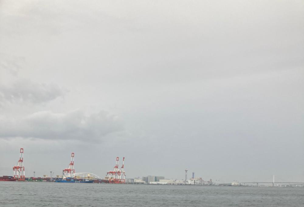 ⭐︎やっとこサゴシ