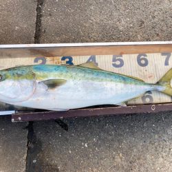 マキマキバイブ丸飲みにゃーん！