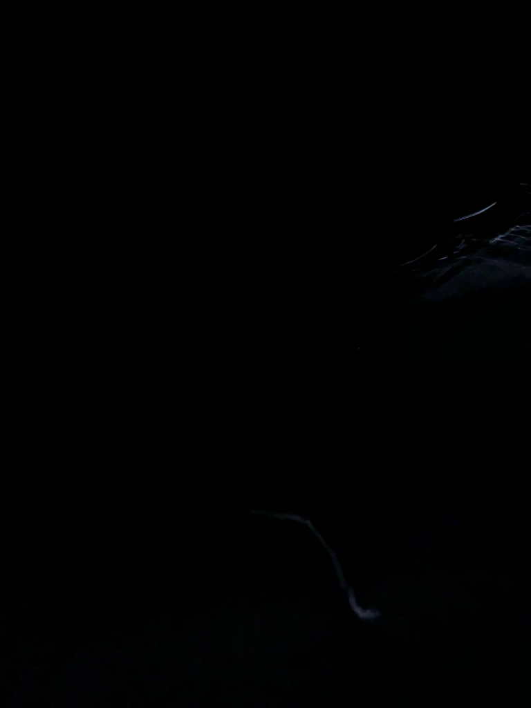 激渋の中の一杯