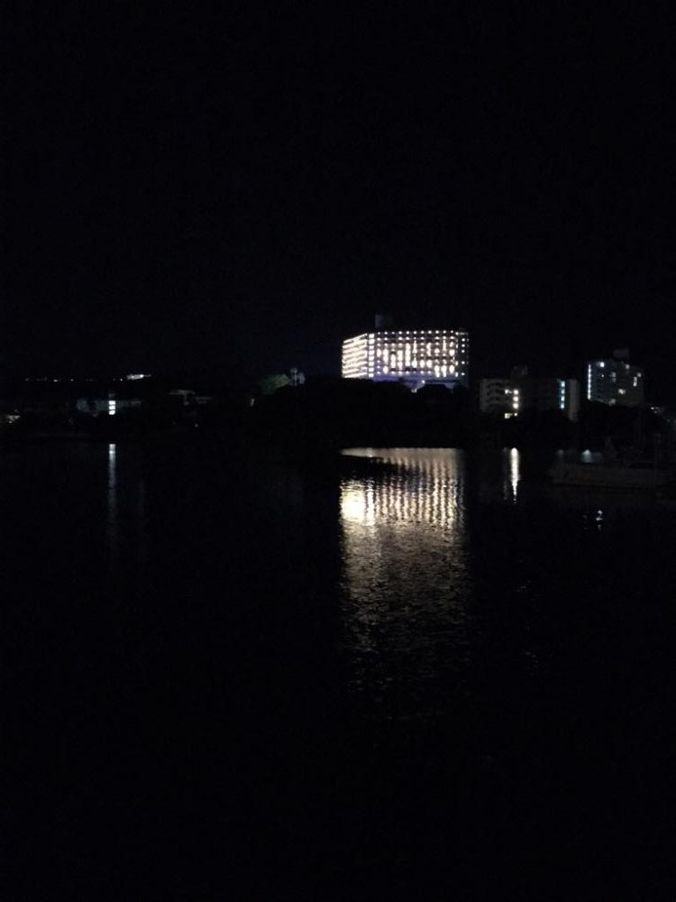 イカ釣りのはずが太刀魚!