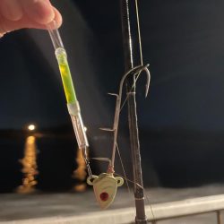 太刀魚テンヤ⋆*🐉