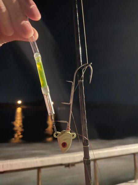 太刀魚テンヤ⋆*🐉