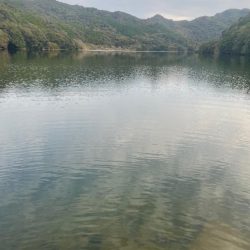 ダウスイで寄せてからの