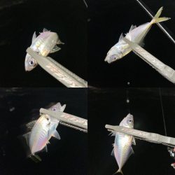 シャローフリークをぶん投げに