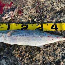 自己新記録‼️…