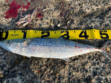 自己新記録‼️…