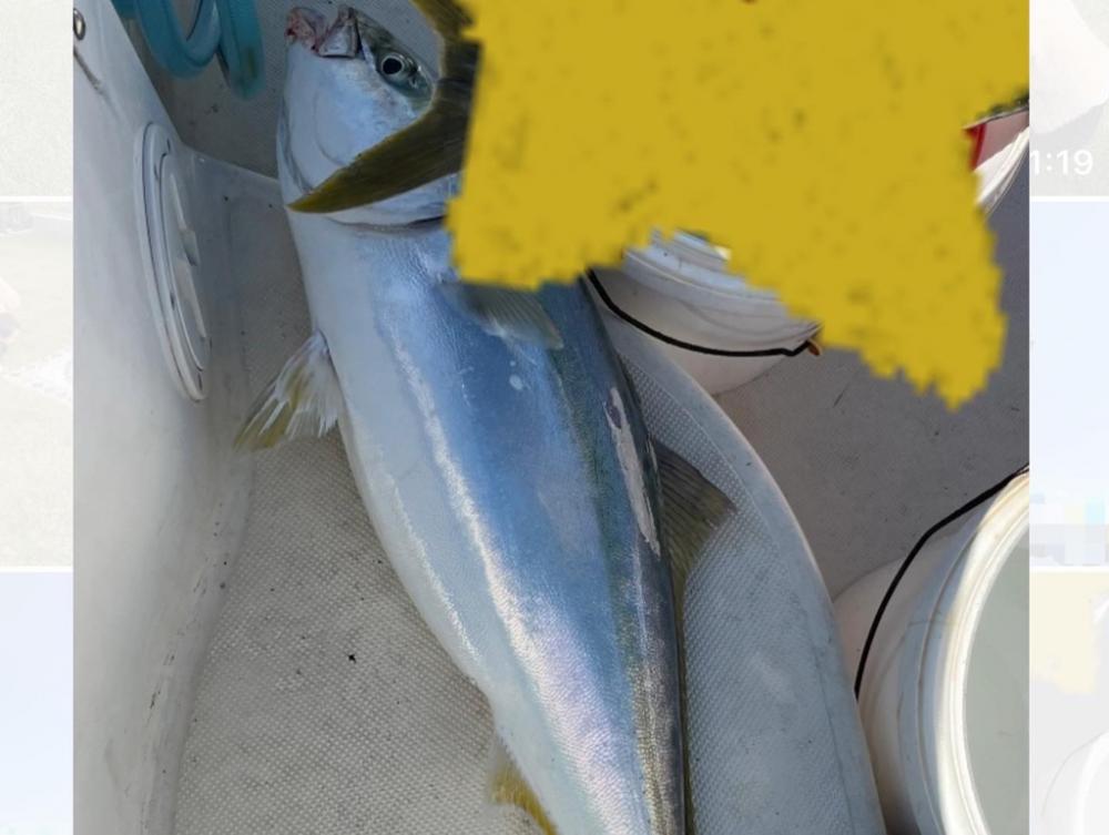 ナブラ追っかけ隊