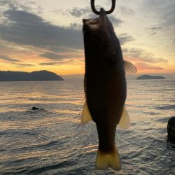 北湖のプリプリバス