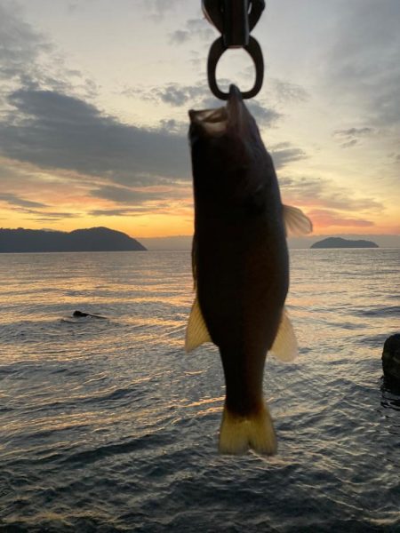 北湖のプリプリバス