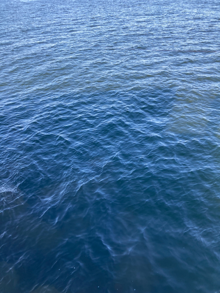 ⭐︎セットアッパーに軍配あり