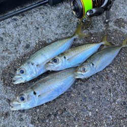 11月から不調続き