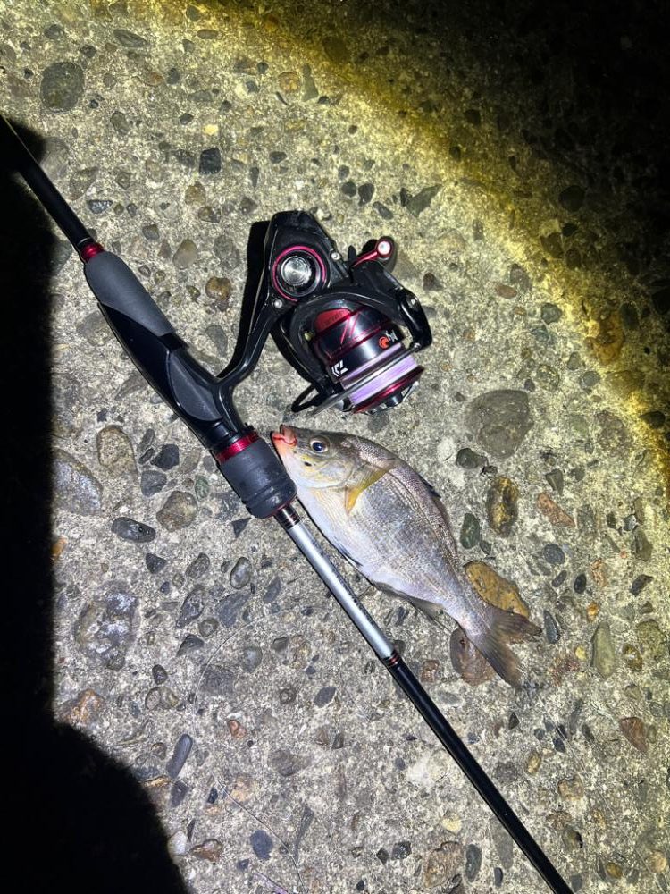 シーズン終盤戦！