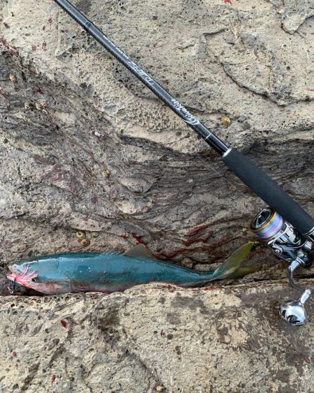 久しぶりロックショアで反省