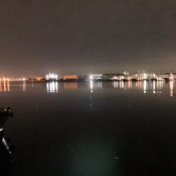 湾内でカレイ！！驚いたーーー