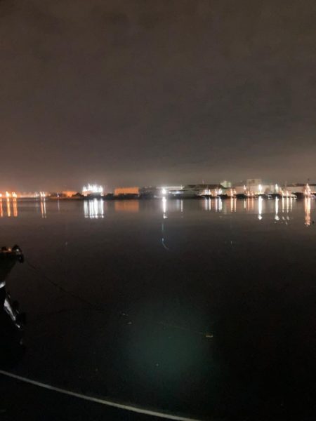 湾内でカレイ！！驚いたーーー