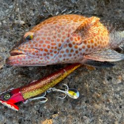 この2つのルアーが強い!