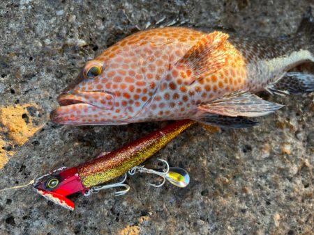 この2つのルアーが強い!