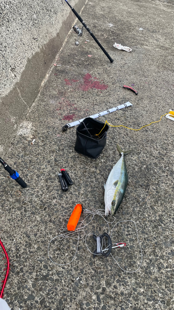 雨にも負けず☔️