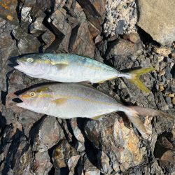 ワダツミの神さんの恵みに感謝❗…