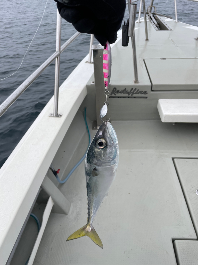 丹後沖　ライトジギング