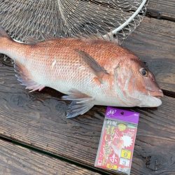 雨の中の釣り堀海恵