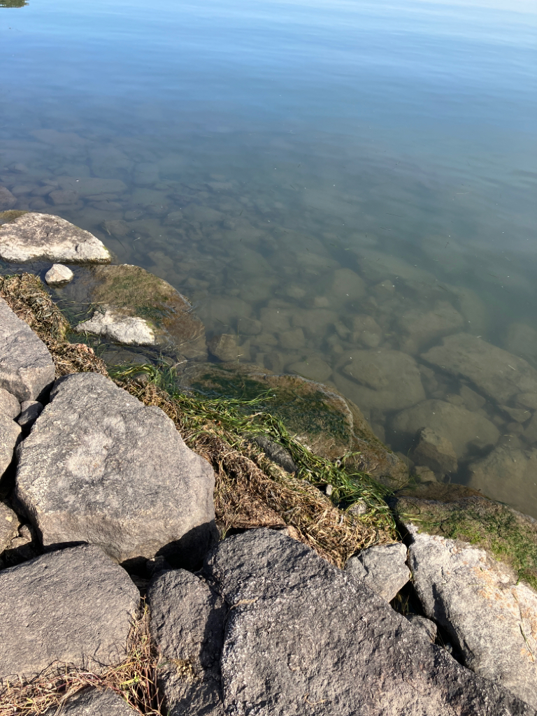 減水気味の南湖