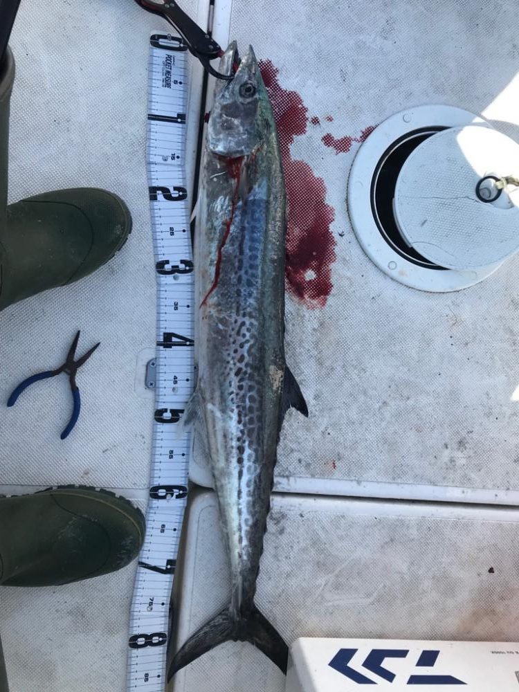 久しぶりの船釣り!