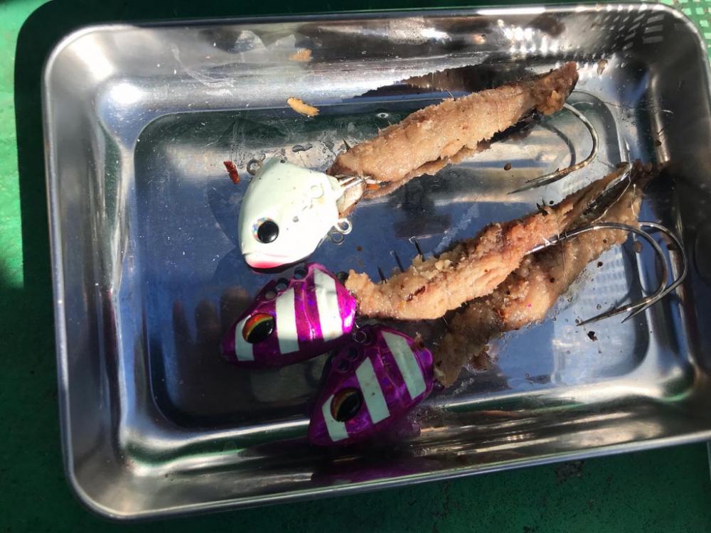 タチウオテンヤ